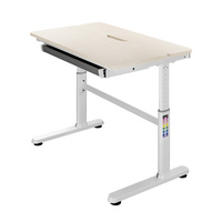 Spacetronik XD adjustable desk SPE-X104WL 100x60