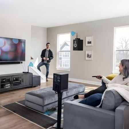 Transmiter audio HiFi 2.4GHz 2w1 1Mii RT5066Pro