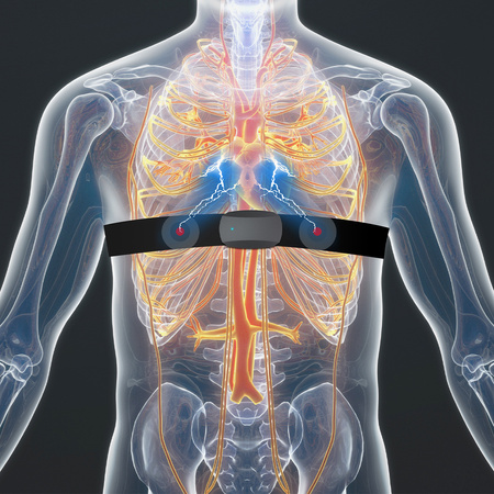 ANT+ BLE LED chest heart rate measurement armband