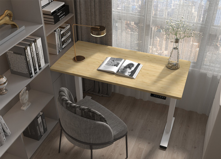 Spacetronik SPE-224RW electric desk rack