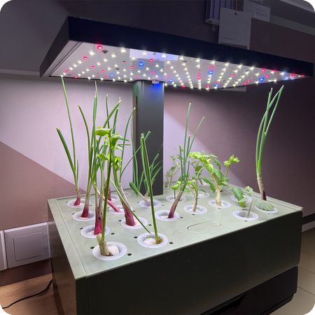 Doniczka do roślin z wyświetlaczem LCD SPGC20BC