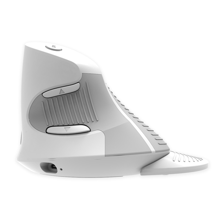 Ergonomic Delux M618G DB Maus weiß staubfrei