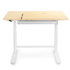 Spacetronik XD electric desk SPE-X116W