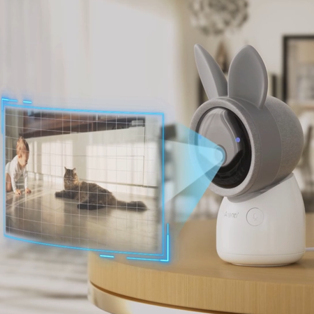 Zestaw 2 kamer z ekranem Arenti AInanny