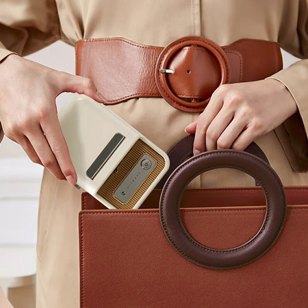 Niimbot D110 blauer Etikettendrucker