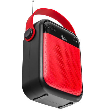 SP-VA22 UHF wireless voice amplifier