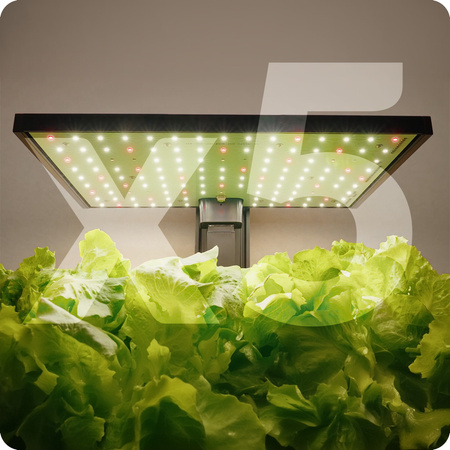 Doniczka do roślin z wyświetlaczem LCD SPGC20BC