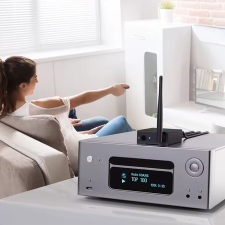 Transmiter audio HiFi 2.4GHz 3w1 1Mii RT5066ProM