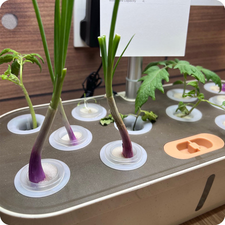 Doniczka do roślin z wyświetlaczem LCD SPGC10B