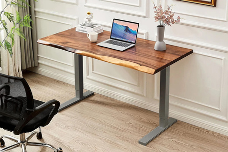 Spacetronik SPE-221OG electric desk stand