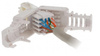 Wtyk sieciowy RJ45 8P8C CAT5e samozaciskowy Goobay