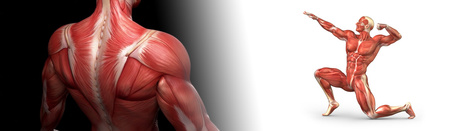 Additional material for Foot Massager SPE-M02