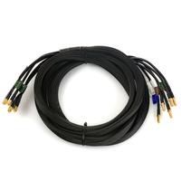 GSM-Kabel Poynting 5in1 CAB-119 3xSMA 2xRP SMA 3m