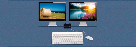 Switch rozgaleznik KVM USB 2/4 SPU-24PS