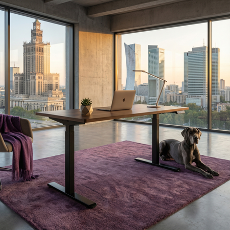 Elektryczny stelaż biurkowy Spacetronik SPE-114RB