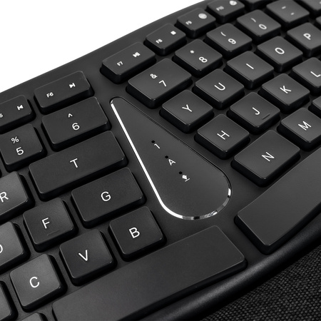 Ergonomische Profiltastatur EZZY 01K