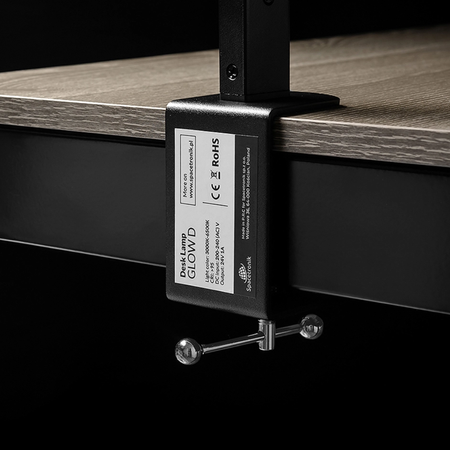 Spacetronik Moris elektrischer Schreibtisch SPE-O121 120x60, Gestell weiß, Platte helles Holz