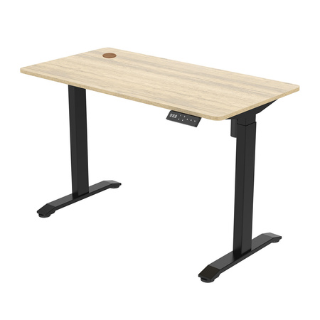 Moris Heavy 131BD 120x60 cm electric desk