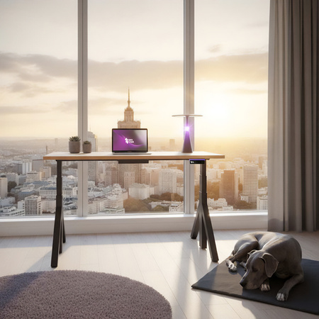 Elektryczny stelaż biurkowy Spacetronik SPE-239OB