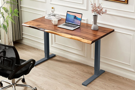 Spacetronik SPE-221A electric desk stand