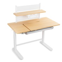 Spacetronik SPE-X116WT electric desk with shelf