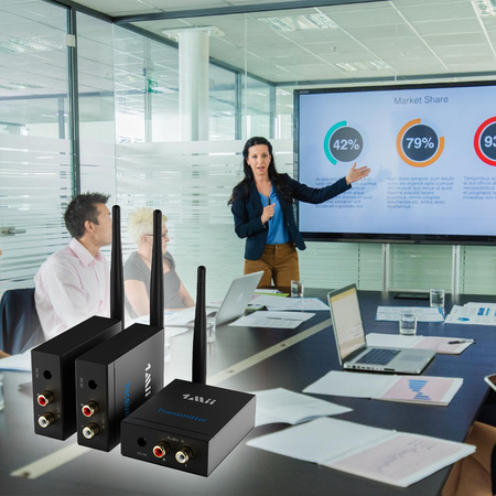 Transmiter audio HiFi 2.4GHz 3w1 1Mii RT5066M