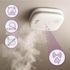 Smart Life SL-DS02 wireless smoke detector