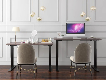 SPE-214AG USB electric desk stand