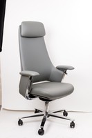 Spacetronik GUSTAV swivel office chair