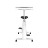 Spacetronik Workbike Exercise Bike with Desktop