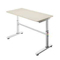 Spacetronik XD adjustable desk SPE-X103WL 120x60