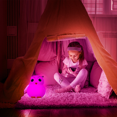 Large Owl RGB USB-C Nightlight Remote Control SP-LN01XL