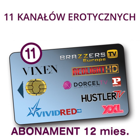 usł. dostępu do kan SUPERCHIC 14+ 14ch/12m VCC6