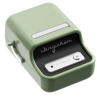 Niimbot B21 green label printer