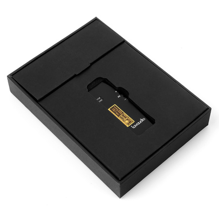 DS100 Mobilny wzmacniacz dźwięku USB-C / Lighting