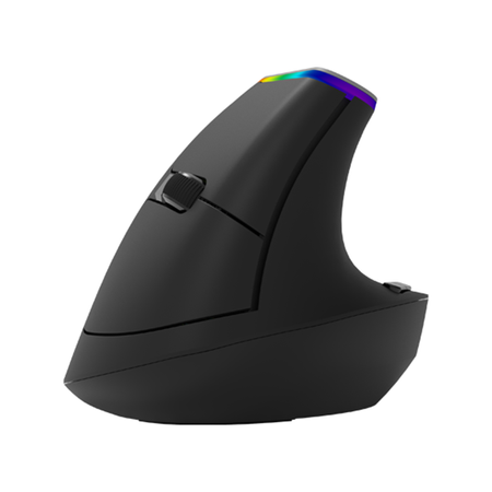 Kabellose vertikale Maus Delux M618C RGB schwarz