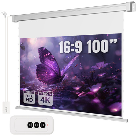 Electric Projection Screen SST Wall Mounted 100in