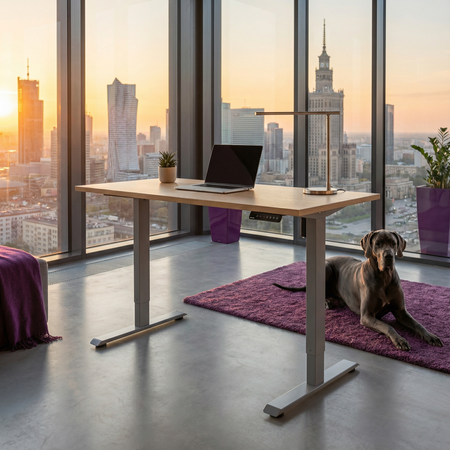 Spacetronik SPE-141G electric desk rack