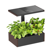 Plant pot with LCD display SPGC20BC