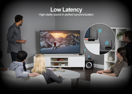 RT5066 24GHz 100m Wireless Audio Extender