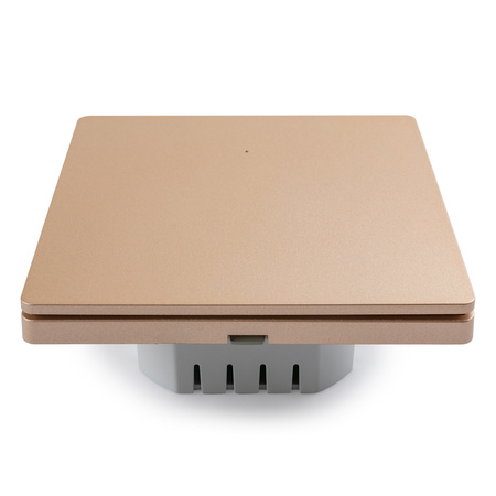 Smart Switch 1x TUYA SL-ES11 Goldener Anhänger