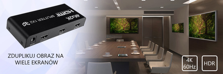 Spacetronik SPH-RS102V14 HDMI 1/2 Splitter