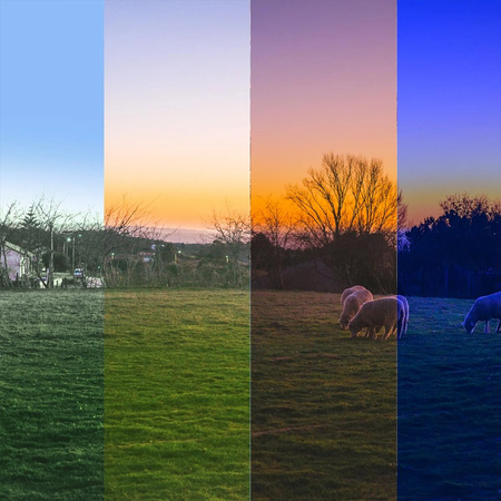 Kamera zewnętrzna LTE Reolink Go PT Ultra 4K szara