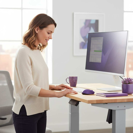 Spacetronik SPE-124W electric desk stand