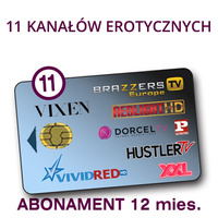 usł. dostępu do kan SUPERCHIC 14+ 14ch/12m VCC6