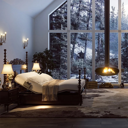 Spacetronik Dozee02 electric bed frame