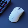 Mysz DELUX M800 Mini biała 12000DPI 1000 Hz