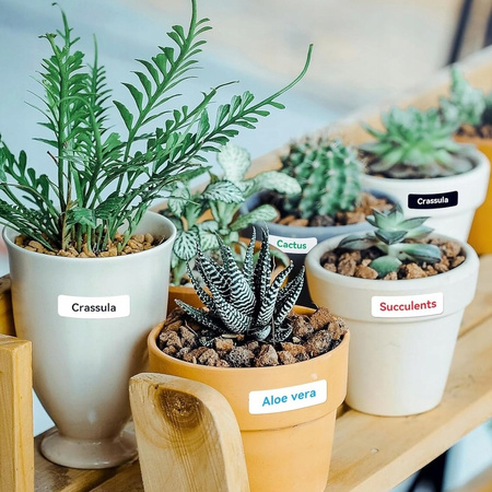 Czarna taśma termotransferowa do drukarki Niimbot B18