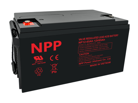 AGM NP 12V 65Ah T14 NPP Batterie