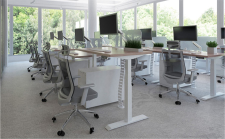 Electric desk rack ERGOLINE SPE-114EB